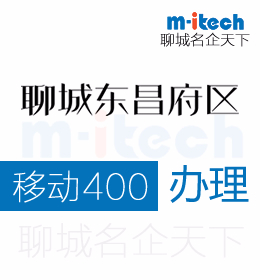 注冊(cè)的聊城東昌府區(qū)公司在辦理移動(dòng)400電話時(shí)如何選擇套餐