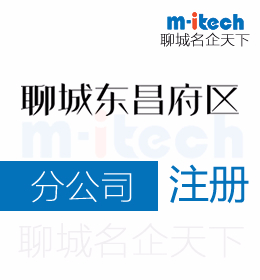 聊城東昌府區(qū)注冊(cè)分公司代辦理營(yíng)業(yè)執(zhí)照