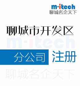 聊城旅游度假區(qū)代辦分公司注冊營業(yè)執(zhí)照